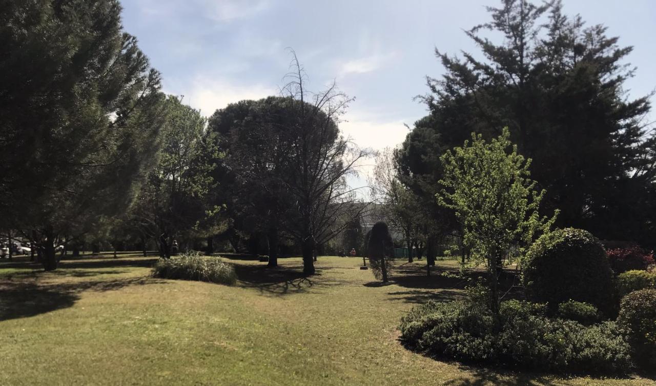Studio Soleil Et Verdure - Montpellier Celleneuve Eksteriør billede